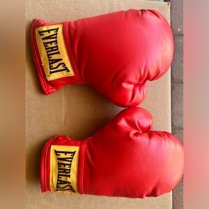 Boxing gloves
